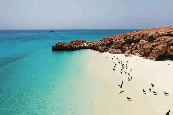 جزایر دیمانیات
